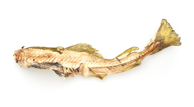 Dried bones