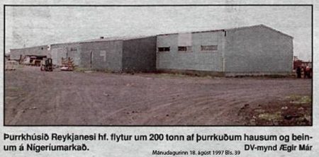 Þurrkhúsið Reykjanesi in 1997