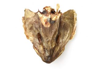 Haustak_Dried_Cod_Head